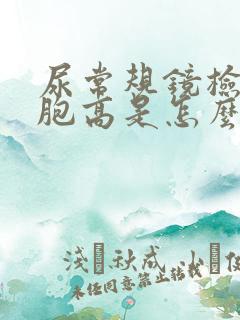 尿常规镜检白细胞高是怎么回事