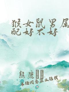 猴女鼠男属相婚配好不好