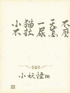 小猫一天不拉屎不拉尿怎么办