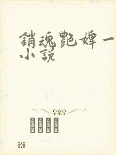 销魂艳婢一级a小说