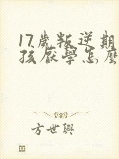 17岁叛逆期男孩厌学怎么办