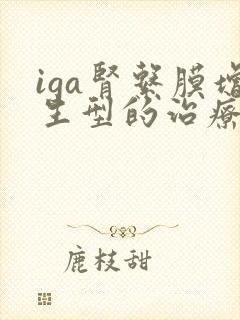 iga肾系膜增生型的治疗