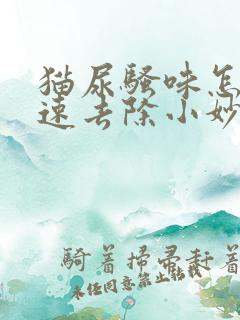 猫尿骚味怎么快速去除小妙招