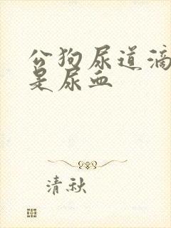 公狗尿道滴血不是尿血