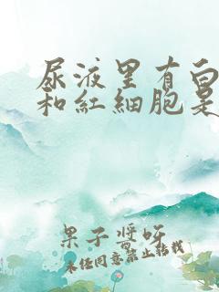 尿液里有白细胞和红细胞是怎么回事