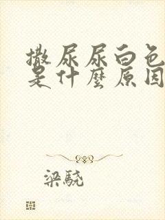 撒尿尿白色液体是什么原因