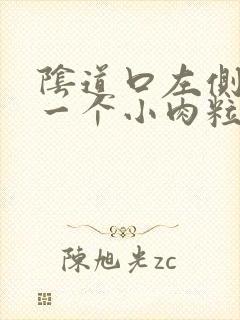 阴道口左侧长了一个小肉粒