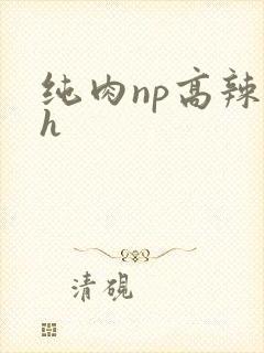 纯肉np高辣文h