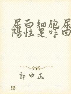 尿白细胞尿潜血阳性是咋回事