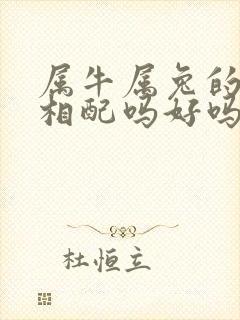 属牛属兔的婚姻相配吗好吗