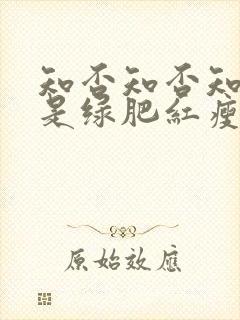 知否知否知否应是绿肥红瘦免费在线观看