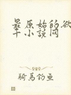 最原始的欲望千千小说网