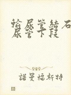 输尿管结石在输尿管下段