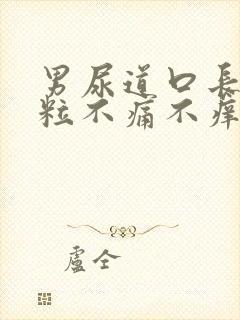 男尿道口长小肉粒不痛不痒