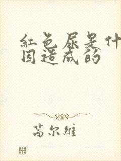 红色尿是什么原因造成的