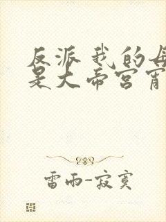 反派 我的母亲是大帝宫宵月