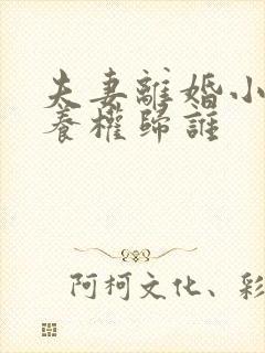 夫妻离婚小孩抚养权归谁