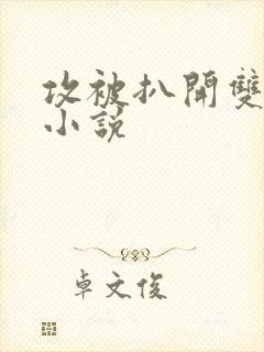 攻被扒开双腿 小说