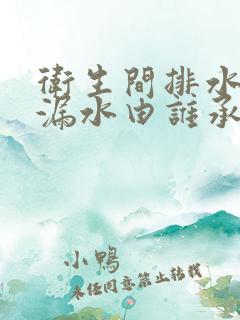 卫生间排水管道漏水由谁承担责任