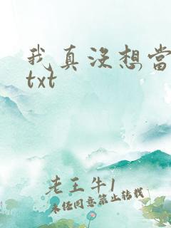 我真没想当反派txt