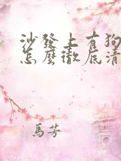 沙发上有狗尿味怎么彻底清除