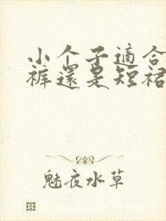 小个子适合穿短裤还是短裙