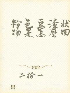 粉色豆渣状分泌物是怎么回事