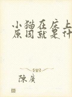 小猫在床上尿的原因就是什么