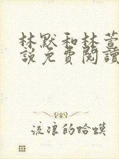 林默和林萱儿小说免费阅读正版