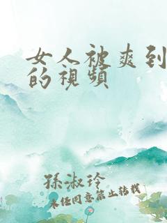 女人被爽到高潮的视频