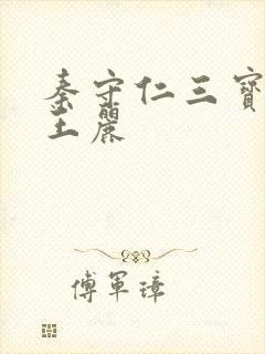 秦守仁三宝局长王丽