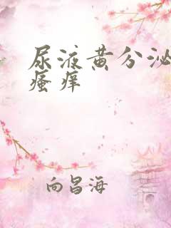 尿液黄分泌物多瘙痒