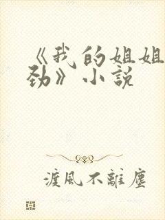 《我的姐姐不对劲》小说