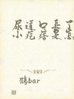 尿道口长了一圈小疙瘩是怎么回事