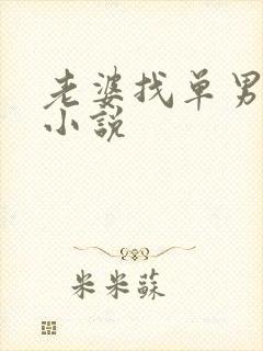 老婆找单男经历小说