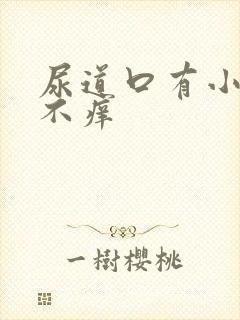 尿道口有小肉粒不痒