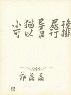 小猫导尿后多久可以自行排尿