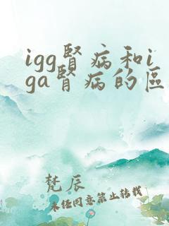 igg肾病和iga肾病的区别