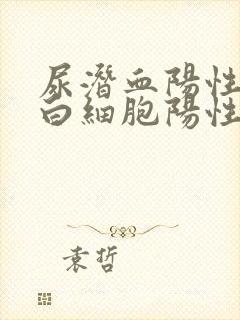 尿潜血阳性,尿白细胞阳性是咋回事