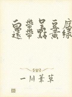 白带呈豆腐渣状还带点黄绿色