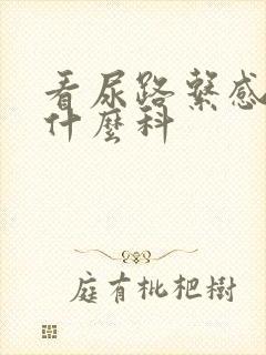 看尿路系感染挂什么科