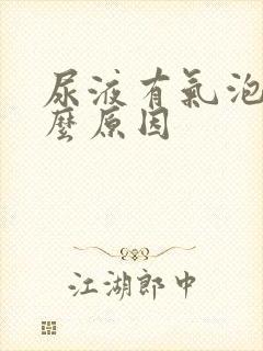 尿液有气泡是什么原因