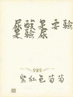 尿酸是要验血还是验尿