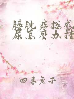 膀胱疼总感觉有尿怎么办挂什么科