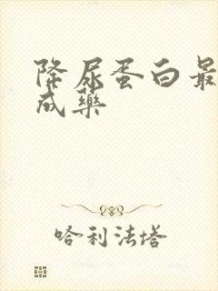 降尿蛋白最好中成药