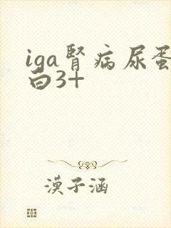 iga肾病尿蛋白3+