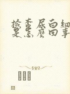 检查尿白细胞高是怎么回事