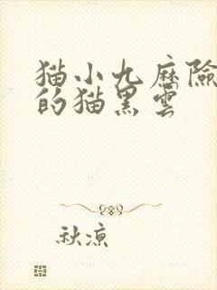 猫小九历险记中的猫黑云