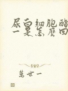 尿白细胞酯酶十一是怎么回事严重吗