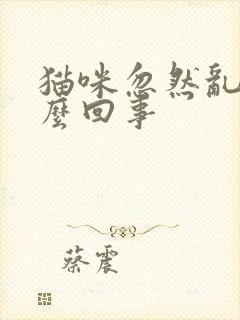 猫咪忽然乱尿怎么回事